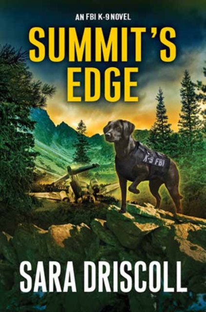 Summit's Edge - Sara Driscoll