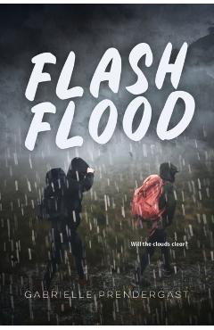 Flash Flood - Gabrielle Prendergast