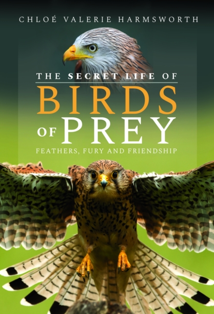 The Secret Life of Birds of Prey: Feathers, Fury and Friendship - Chlo Valerie Harmsworth