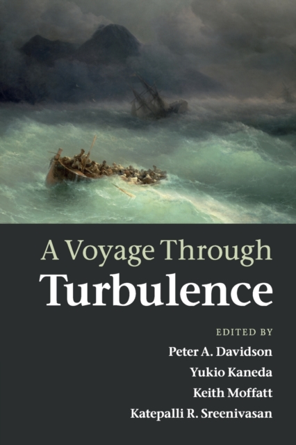 A Voyage Through Turbulence - Peter A. Davidson