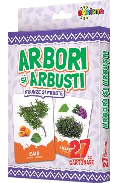 Poza produsului Arbori si arbusti, frunze si fructe. 27 de cartonase