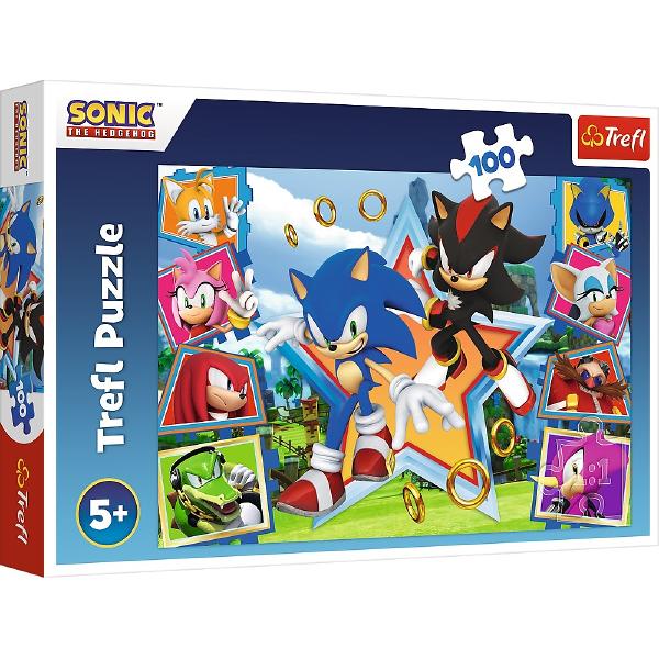 Puzzle 100 Sonic. Minunata lume a lui Sonic