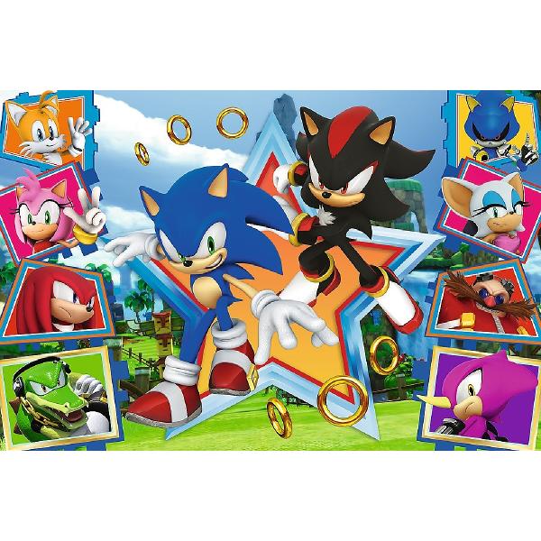 Puzzle 100 Sonic. Minunata lume a lui Sonic