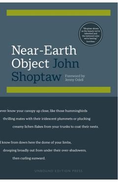 Coperta cărții 'Near-Earth Object - John Shoptaw'