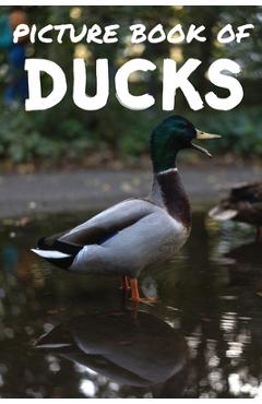 Coperta cărții 'Picture book of ducks: Photos of ducks - Picture book for kids and more - Picture book for seniors with Dementia and'