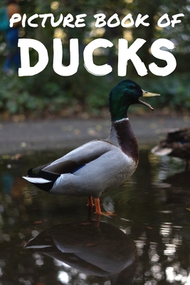 Picture book of ducks: Photos of ducks - Picture book for kids and more - Picture book for seniors with Dementia and Alzheimer - - Relaxing Pictures