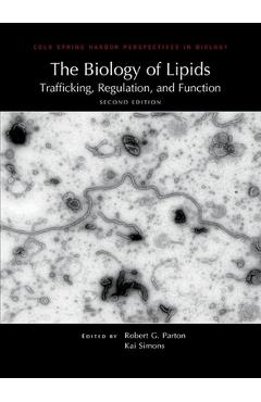 First slide Image