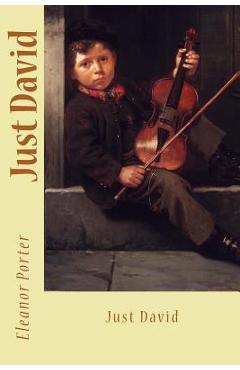 Coperta cărții 'Just David - Eleanor H. Porter'