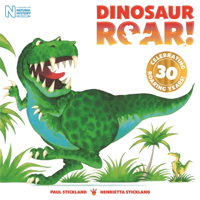 Dinosaur Roar - Henrietta Stickland