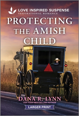 Protecting the Amish Child - Dana R. Lynn