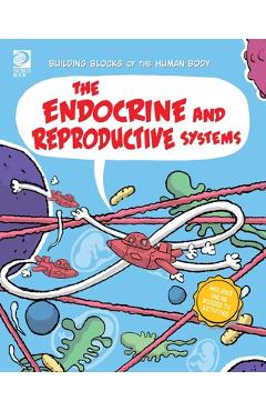 Coperta cărții 'The Endocrine and Reproductive Systems - Joseph Midthun'