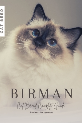 Birman: Cat Breed Complete Guide - Ruslana Shurpatenko