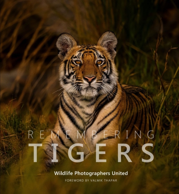 Remembering Tigers - Margot Raggett