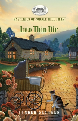 Into Thin Air - Sandra Orchard