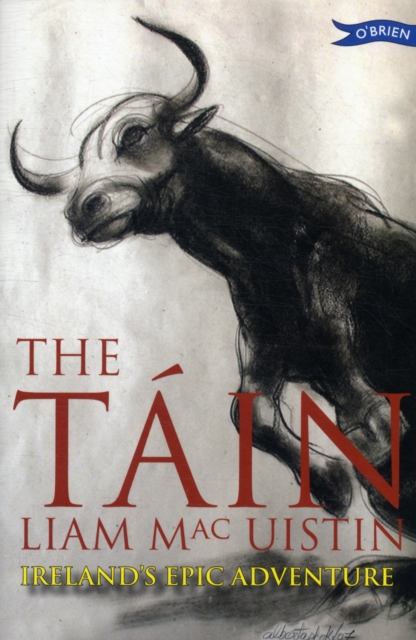 The Tin: Ireland's Epic Adventure - Liam Mac Uistin