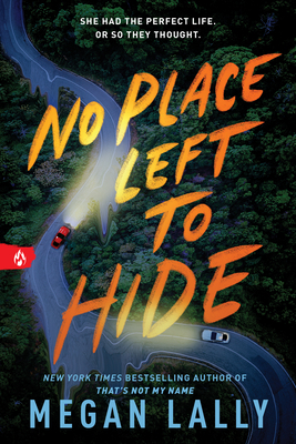 No Place Left to Hide - Megan Lally