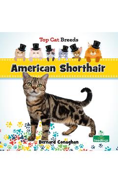 Coperta cărții 'American Shorthair - Bernard Conaghan'