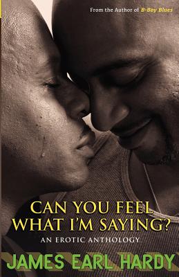 Can You Feel What I'm Saying?: An Erotic Anthology - James Earl Hardy