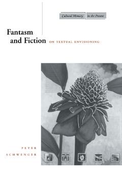 Coperta cărții 'Fantasm and Fiction: On Textual Envisioning - Peter Schwenger'