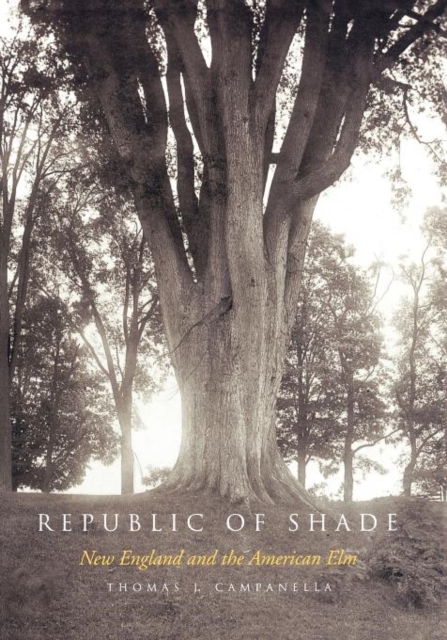 Republic of Shade: New England and the American ELM - Thomas J. Campanella