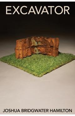 Poza produsului Excavator - Joshua Bridgwater Hamilton