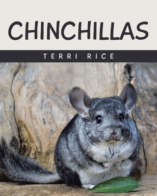 Chinchillas - Terri Rice