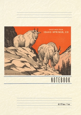Vintage Lined Notebook Greetings from Idaho Springs - Found Image Press