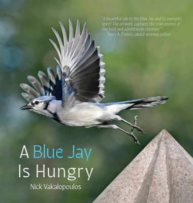 A Blue Jay is Hungry - Nick Vakalopoulos