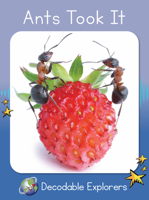 Ants Took It: Skills Set 2 - Rachel Walker
