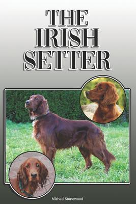 The Irish Setter: A Complete and Comprehensive Owners Guide To: Buying, Owning, Health, Grooming, Training, Obedience, Understanding and - Michael Stonewood