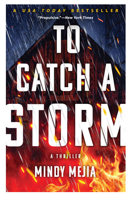 To Catch a Storm - Mindy Mejia