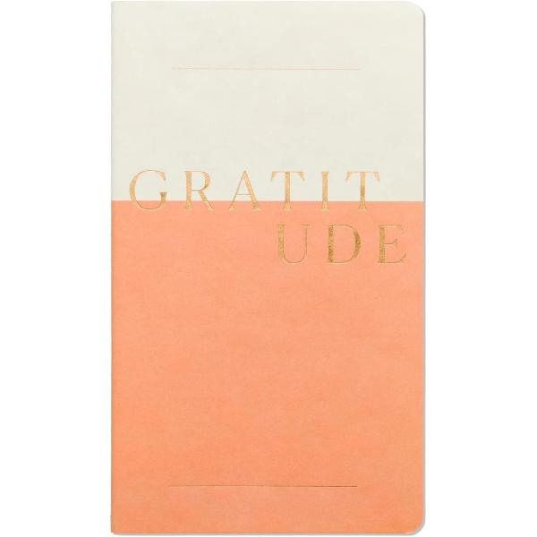 Set 3 carnete Wellness (Reflections, Goals, Gratitude)
