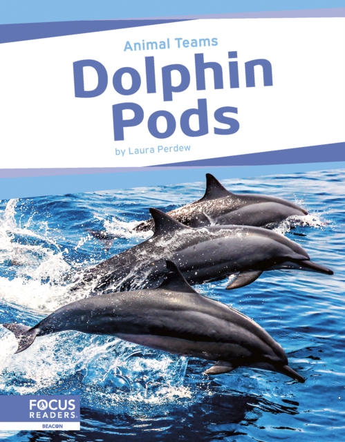 Dolphin Pods - Laura Perdew