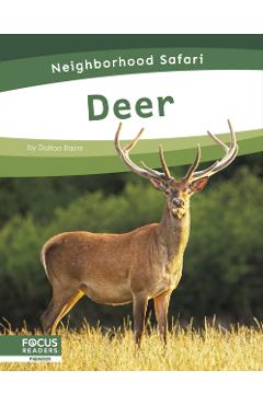 Poza produsului Deer - Dalton Rains