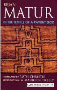 Coperta cărții 'In The Temple Of A Patient God - Bejan Matur'
