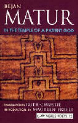 In The Temple Of A Patient God - Bejan Matur