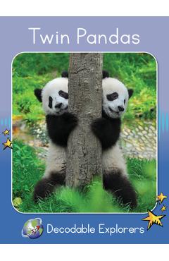 Coperta cărții 'Twin Pandas: Skills Set 1 - Pam Holden'