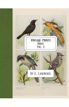 Coperta cărții 'Vintage Prints: Birds: Vol. 3 - E. Lawrence'