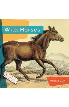 Coperta cărții 'Wild Horses - Melissa Gish'