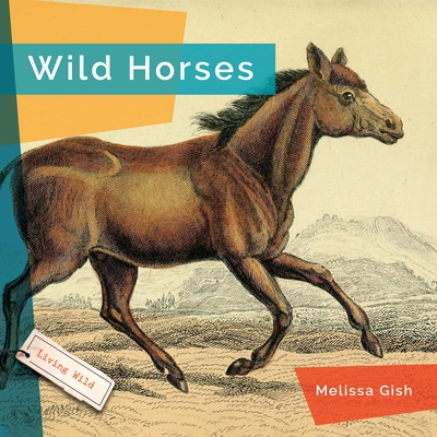 Coperta cărții 'Wild Horses - Melissa Gish'