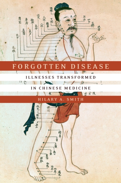 Forgotten Disease: Illnesses Transformed in Chinese Medicine - Hilary A. Smith