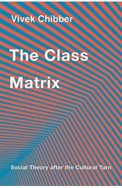 The Class Matrix: Social Theory After the Cultural Turn - Vivek Chibber