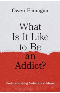 Poza produsului What Is It Like to Be an Addict?: Understanding Substance Abuse - Owen Flanagan