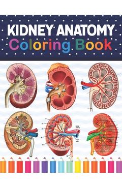 Coperta cărții 'Kidney Anatomy Coloring Book: Kidney Anatomy Coloring Book for kids. Human Kidney Anatomy Coloring Pages for Kids'