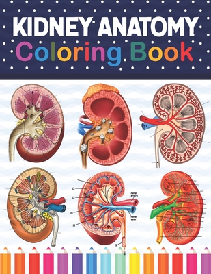 Coperta cărții 'Kidney Anatomy Coloring Book: Kidney Anatomy Coloring Book for kids. Human Kidney Anatomy Coloring Pages for Kids'