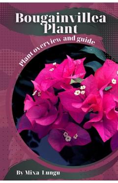 Poza produsului Bougainvillea Plant: Plant overview and guide - Mixa Lungu