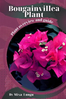 Bougainvillea Plant: Plant overview and guide - Mixa Lungu