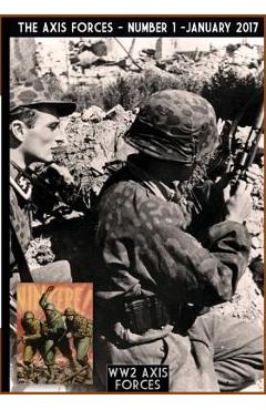 Coperta cărții 'The Axis Forces 1 - Massimiliano Afiero'