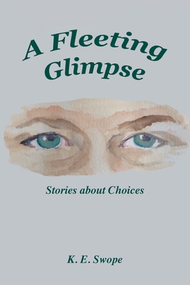 A Fleeting Glimpse: Stories about Choices - K. E. Swope