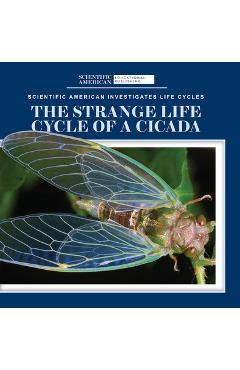 The Strange Life Cycle of a Cicada - Anna Mcdougal